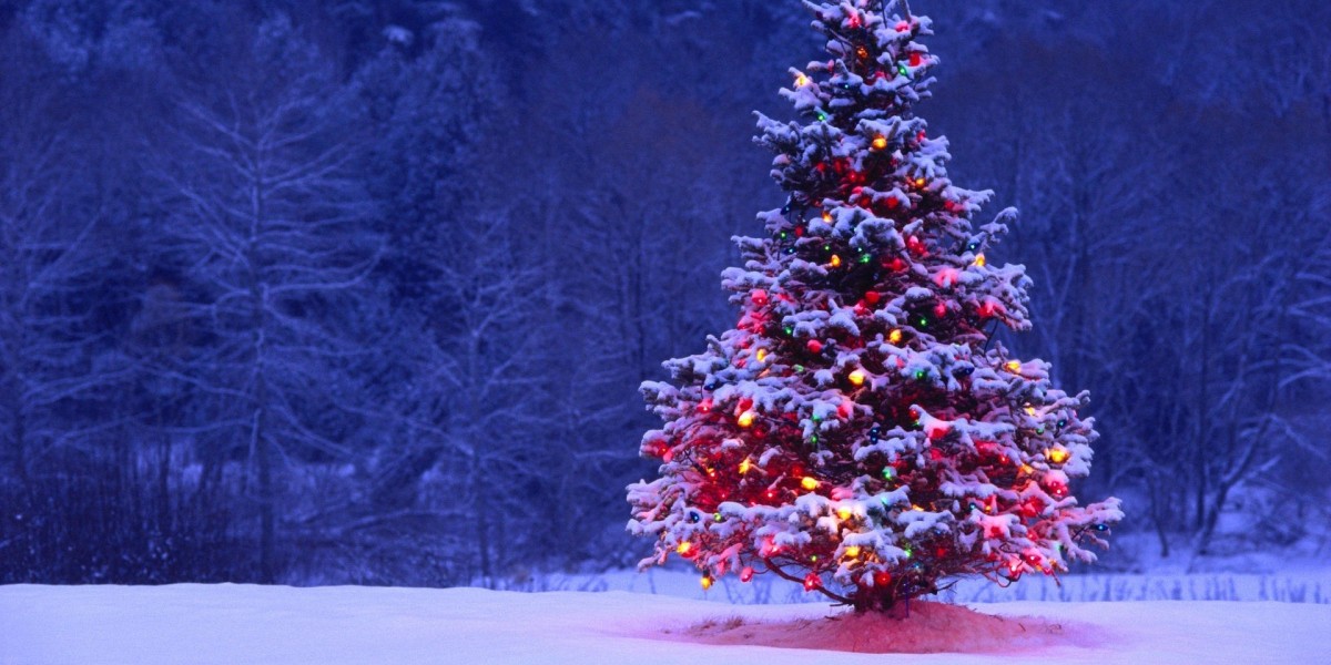 Elevating Holiday Décor with a Majestic 10 Feet Christmas Tree