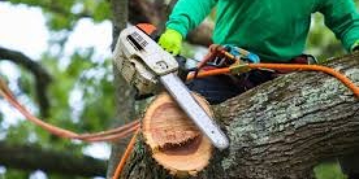 Tree Cutting Service Manhattan