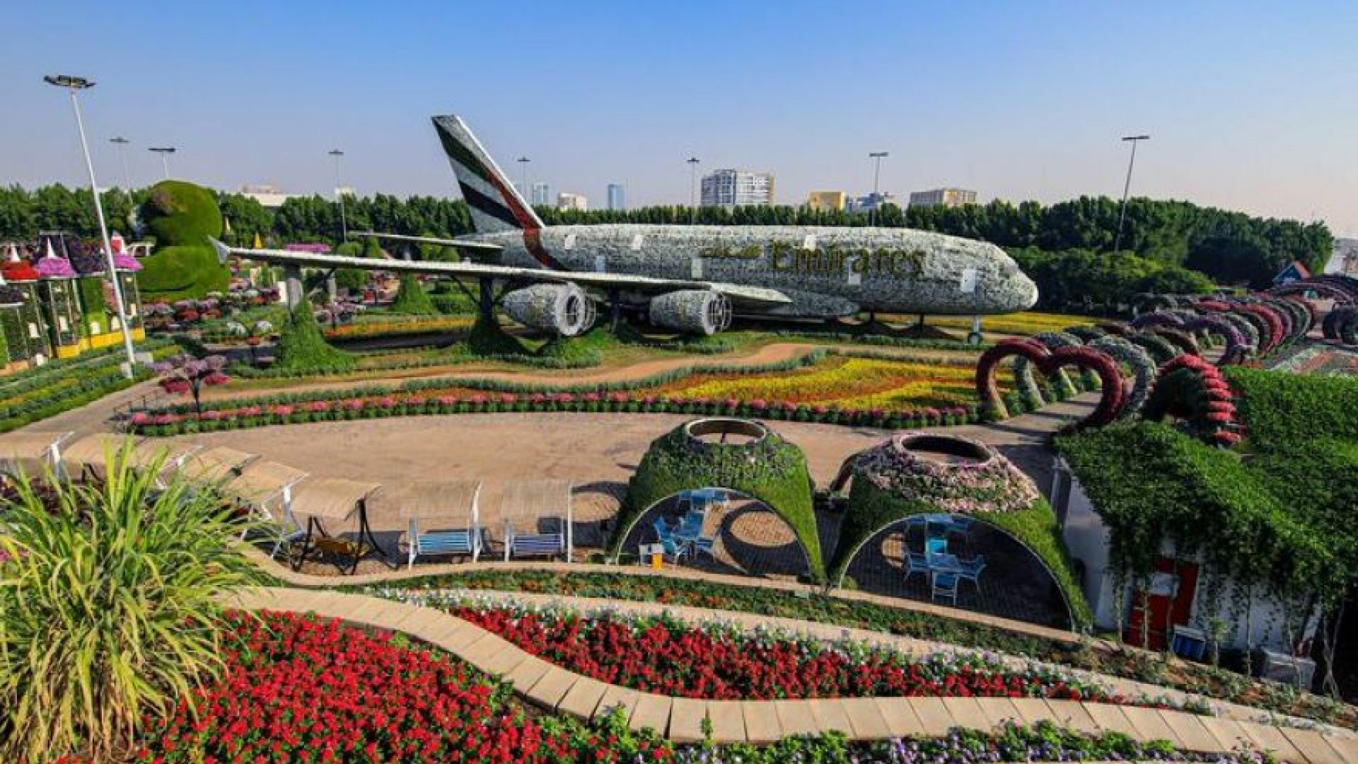 What Makes Miracle Garden Dubai Unique Among World Gardens - Newsglo