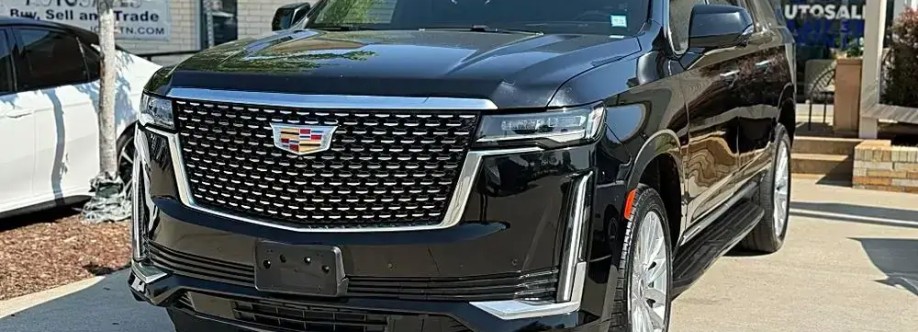 black car service nyc Cover Image