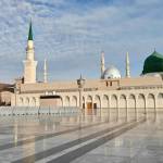 Salah Travels Profile Picture