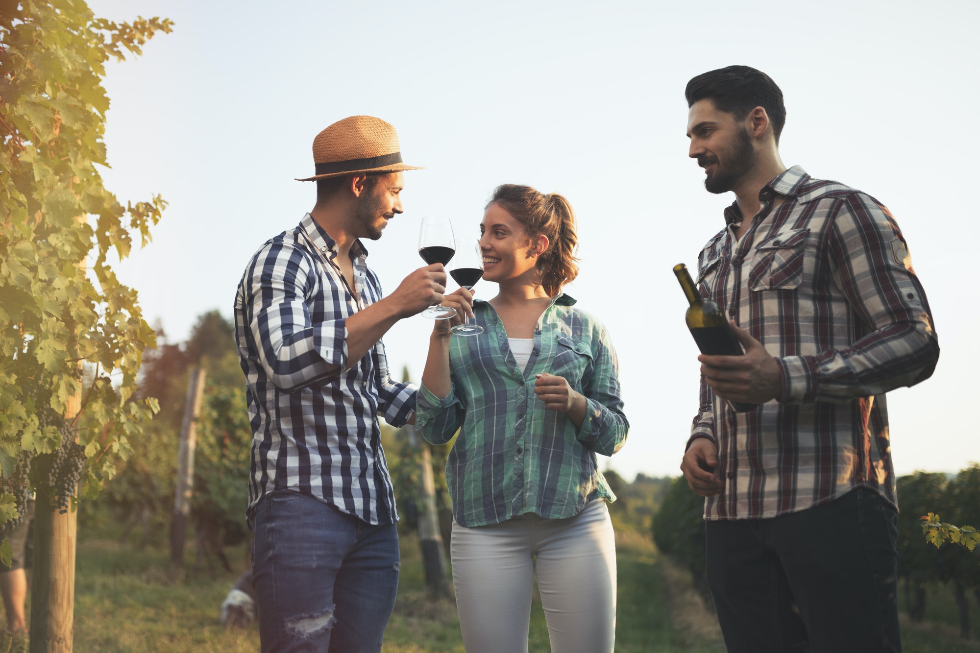 St. Helena Car Service - Napa Valley VIP Limo