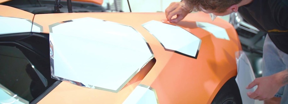 PROvinyl Cover Image