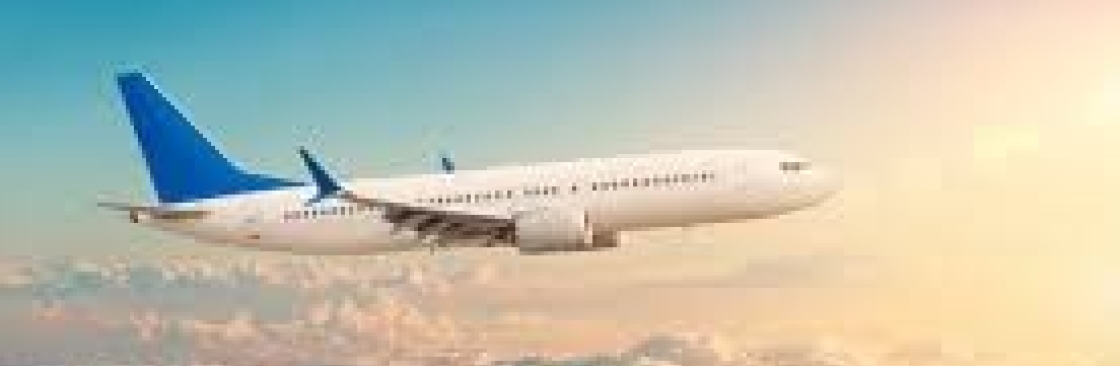 Book Budget Flight Cover Image