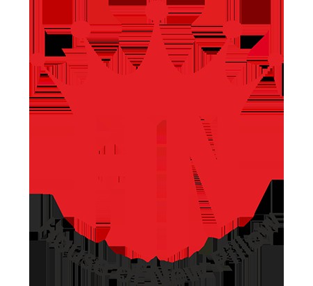 hn pillow Profile Picture