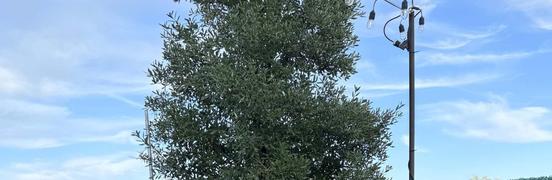 Brew Avenue Coffee Cover Image