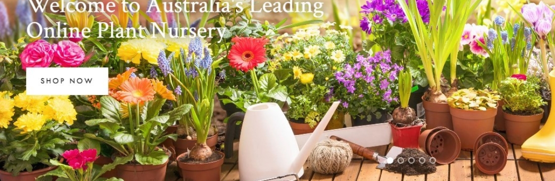 Online Plants Cover Image