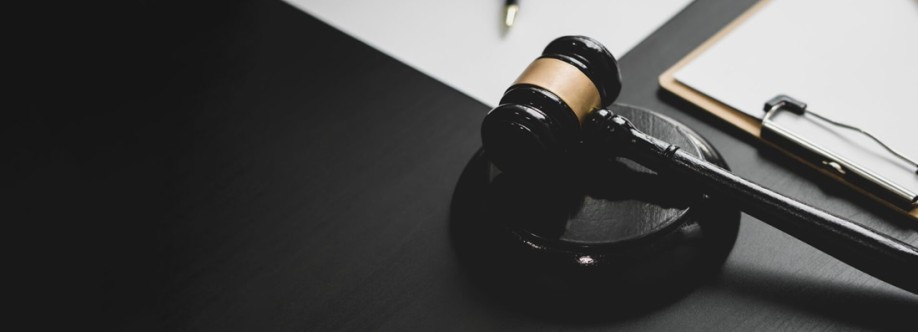 Somerset Litigation Cover Image