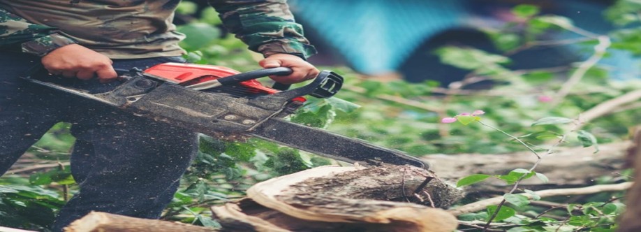 Norwich Tree Care Cover Image