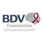 BDV Foundation Profile Picture