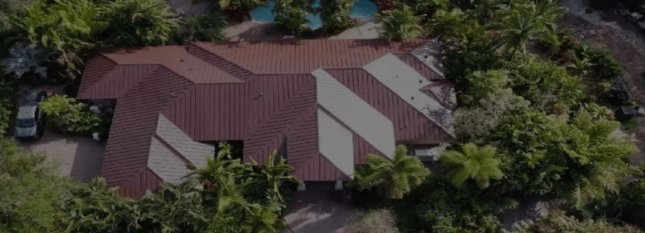Roof Giants Cover Image