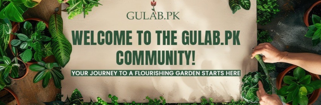 Gulab PK Cover Image