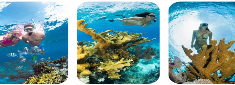 Paradise Island Adventures LTD Cover Image