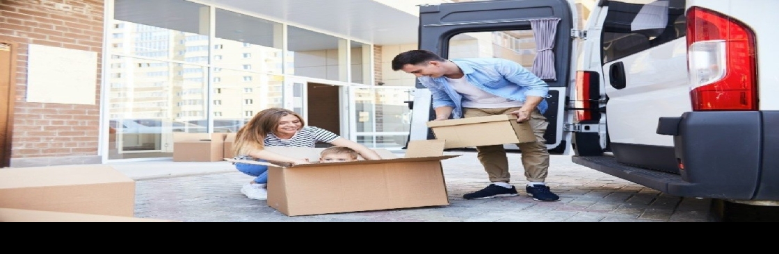 Removalist Auction Cover Image