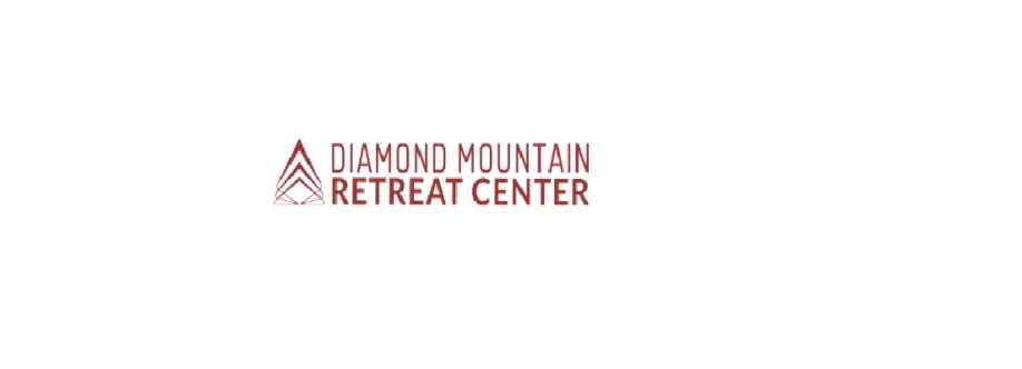 Diamond Mountain Cover Image