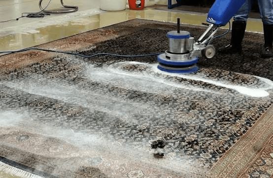 Why Oak Park Residents Choose Professional Rug Cleaning