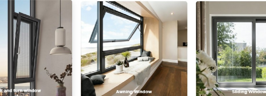 starveilwindows starveilwindows Cover Image