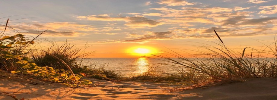 Recovery Dawn Cover Image