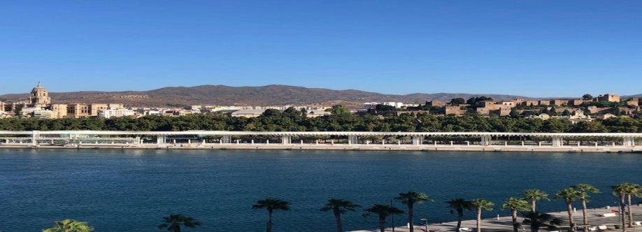 Malaga Private Tours Cover Image