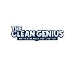 The Clean Genius Profile Picture