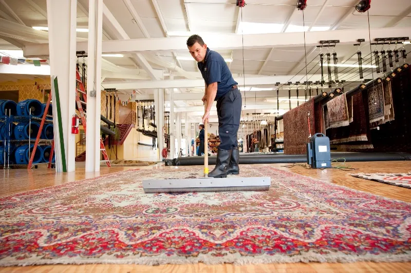 Rug Cleaning Service River Forest for Pet Friendly Homes