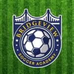 Bridgeview Soccer