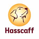 Hasscaff Scaffolding