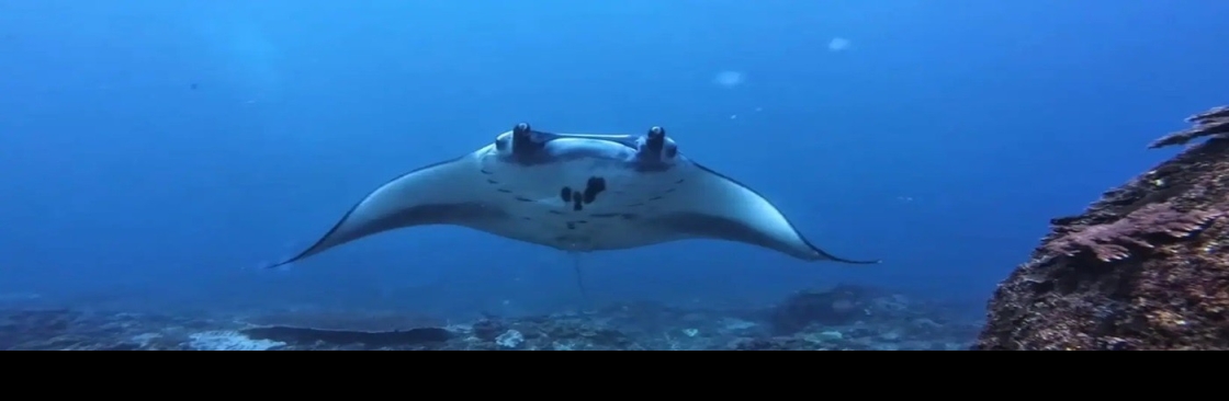 BALI FUN DIVING Cover Image