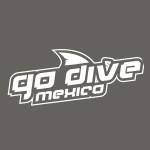 Go Dive Mexico Profile Picture